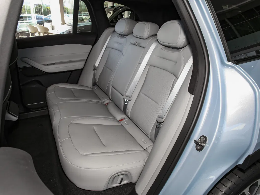 全電動 2024 Nio SUV ES6 75kwh EVカー 高速新エネルギー車両 7